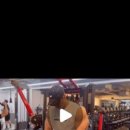 YS GYM 이미지