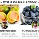 삼촌네농장