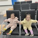 이천시보건소 | 이천시보건소 소아 혈액형검사, 빈혈검사 후기