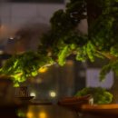 이자카야설 이미지