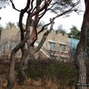 화진포(거진)해변 이미지