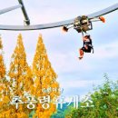 설 특별 프로그램 <설날이닭> | &#34;경부고속도로 꿀팁🍯 추풍령휴게소 지례흑돼지 드론배달 시작됐다고???