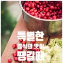 류카츠대학