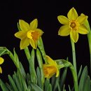 서신동 일타 복싱 이미지