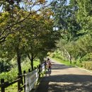 사라수변공원입구 이미지