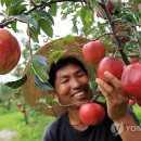 충주시농협쌀조합공동사업법인 이미지