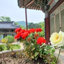 평강휴게소식당 이미지