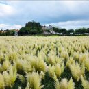 도토리 열차 스튜디오 이미지