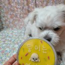 댕케이크 이미지