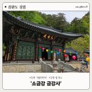 소금강가족낚시터 | 강릉 가볼만한곳 절 명소 금강사 부처님오신날 소금강 계곡