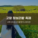 고창 청보리밭 축제 폭삭속았수다 촬영지 학원농장 유채꽃