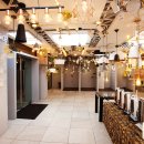 비비나인 이미지