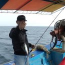 관광 꿈꾸는숲 펜션 이미지