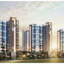 더오네뜨 이미지