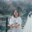 청아 이미지
