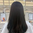 [서울/강서구] 박승철헤어스투디오 우장산역점ㅣ우장산 미용실 시세이도 클리닉 자세한 후기