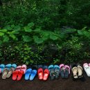 천년비자 이미지