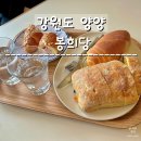 양양 : 빵돌이, 빵순이들에게 추천드리는 빵지순례 빵집 봉희당