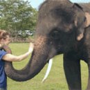 코끼리PC방 이미지