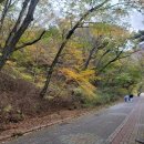 석남사 7호점 | [울산 가볼만한곳] 울산 울주군 석남사 가을 단풍 구경 주차 후기