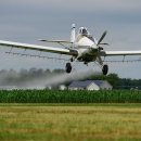 초월농장 이미지