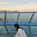 전망대횟집 | [부산 여행] 청사포 다릿돌 전망대 + 청사포 횟집 맛집 후기