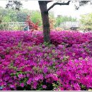 덕평자연휴게소 이미지