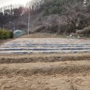 계촌농장 이미지