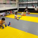 경희대 태권도장 네이버블로그