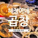 혜정이네곱창 | [혜정이네곱창] 안양 관악역 석수동 곱창대창맛집 내돈내산 후기(또또또또간집)