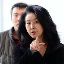 김부선 카카오 검색결과
