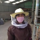 조양농원 이미지