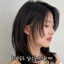 줄리아 살롱