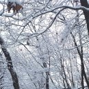 雪國(겨울 가현산) 이미지