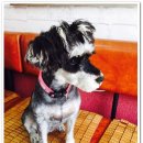 수아헤어샵 이미지