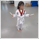 경희대 최강 MTA 태권도 네이버블로그