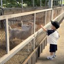 용염소농장 이미지