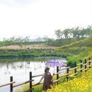 악양생태공원 이미지