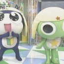 리오 이미지