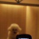 옐레드 시흥은계호수점 이미지