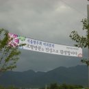 마음에고향 이미지