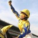 강인목장 이미지