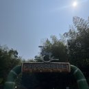 맹종죽순체험길 | 거제도 여행 추천 아이랑 가기 좋은 거제 여행 코스 “거제맹종죽테마파크”