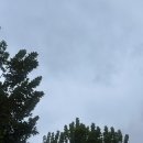 유진이네회초밥 | [🇨🇳 상해 동화대 교환일지 十一] 갓생 도전...!