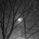 소풍농월 이미지