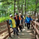 815 번개산행-진관사 계곡(20230815) --- 종합 이미지