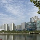 튤립 | 봄나들이 추천, 미사호수공원 튤립 후기