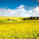 이재홍 행정사사무소 이미지