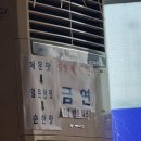 궁전파크장 | 덕산 스파 리솜 리조트 홍굴이 해물짬뽕 현지인 맛집 아이랑 가기 좋은 물놀이 장소 덕산 스플라스 온터...