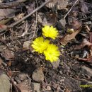 국민연금을 청구하며 이미지